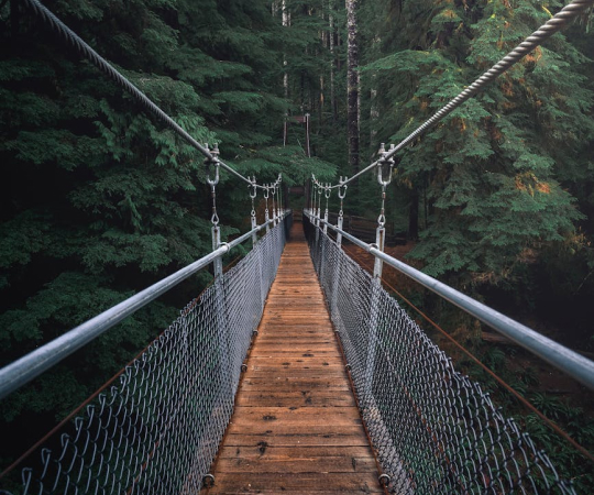 services-03 Services 03 1