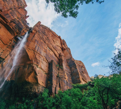 why-choose-us Why Choose Us 1